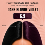 Proads Hair Color Cream 6.9 Dark Blonde Violet