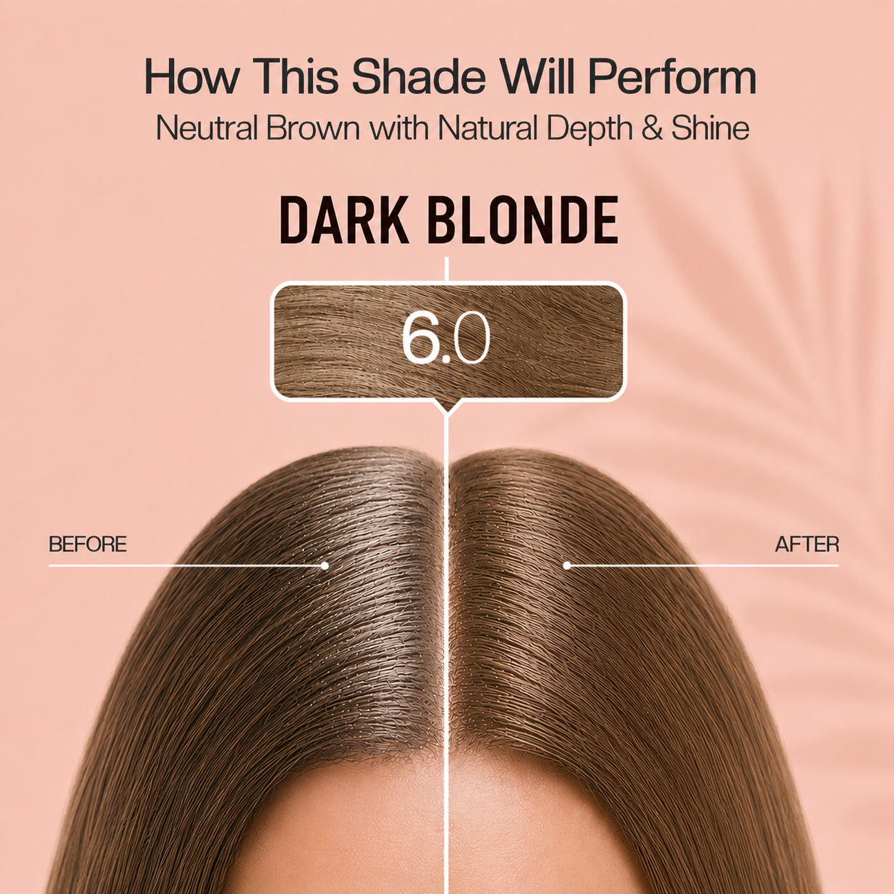 PROADS Biotin Hair Color 6.0 Dark Blonde