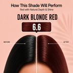 PROADS Professional Biotin Hair Color 6.6 Dark Blonde Red