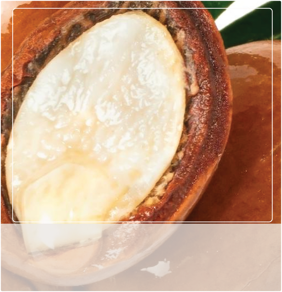 Argan Oil
