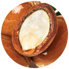 Argan Oil