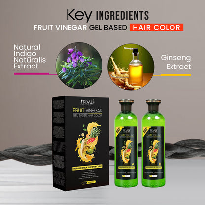 Proads Fruit Vinegar | Natural Black Gel Color - 500 ml + 500 ml