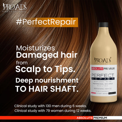 Proads Perfect Repair Shampoo 300 ml