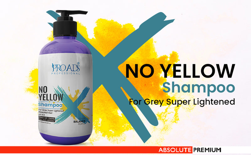 Proads Professional No Yellow Shampoo - 300 ml image 1
