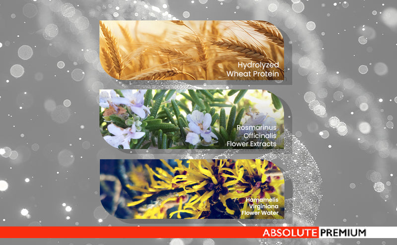 Proads Professional Hair Defence Shampoo - 300 ml image 2