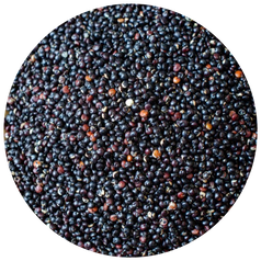 Black Quinoa Seeds