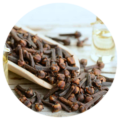 Clove Flower Oil