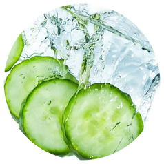 Cucumber Extract