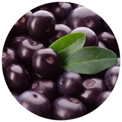 Euterpe Oleracea (Acai) Fruit Extract