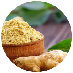 Ginger Root Extract