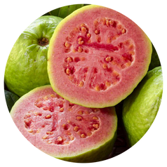 Guava Fruit Extracts