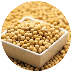 Hydrolyzed Soy Protein
