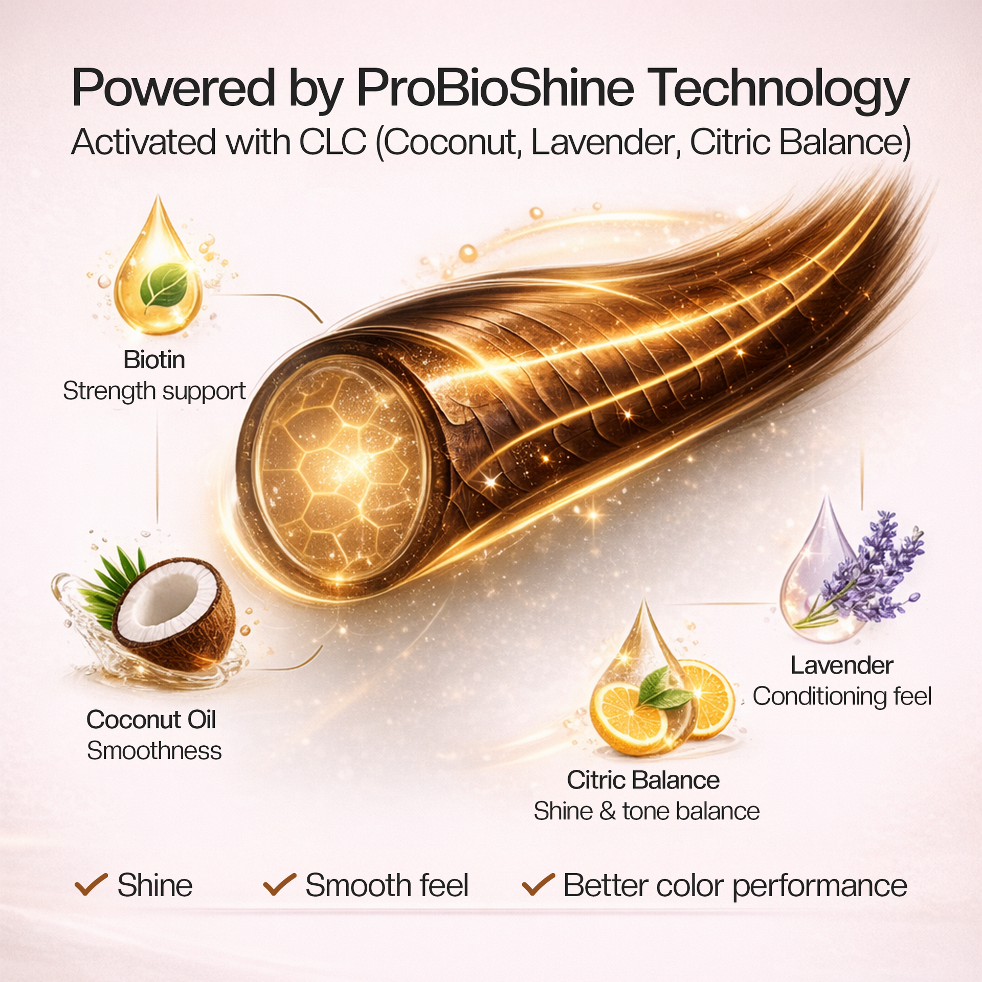 PROADS Biotin Hair Color 7.3 Medium Golden Blonde