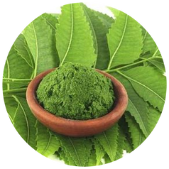 Indica Leaf Extracts