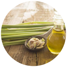 Lemongrass Extract