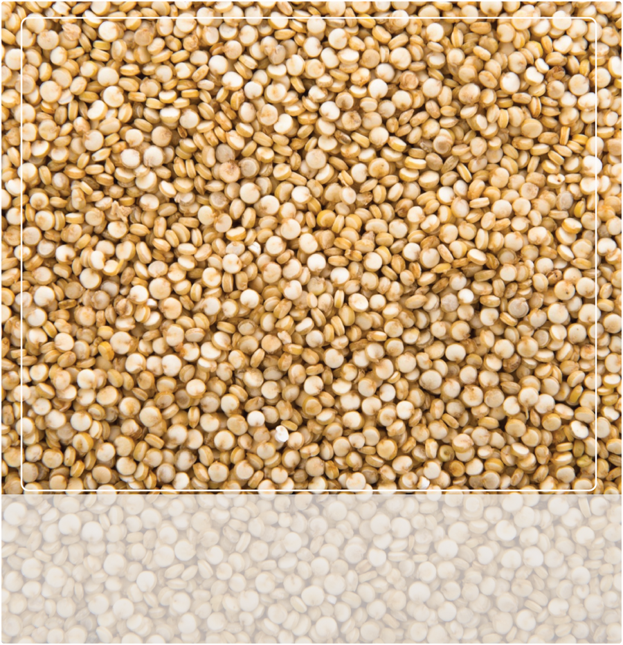 DHA Quinoa