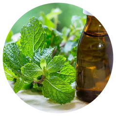 Peppermint Oil