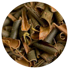 Salix Nigra (Willow) Bark Extract