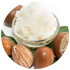 Shea Butter