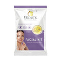 Facial Kit Shine & Glowing Skin 38gm – Professional Salon Care