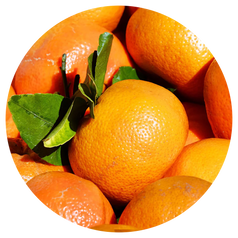 Wild Orange Cellular Extract