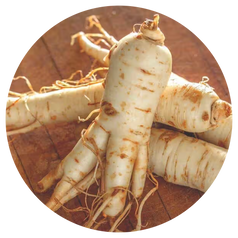 Ginseng Extract