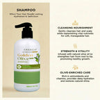 Freecia Golden Olive Ultra – Moist Shampoo - 300 & 1000 ML